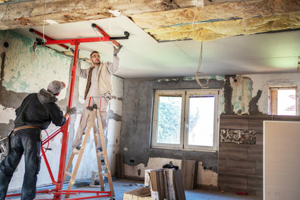 Best Geographic-Specific Insulation Services in Taylor Lake Village, TX