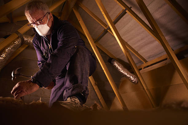 Best Fiberglass Insulation in Taylor Lake Village, TX